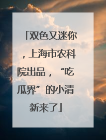 双色又迷你，上海市农科院出品，“吃瓜界”的小清新来了
