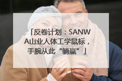 反卷计划：SANWA山业人体工学鼠标，手腕从此“躺赢”