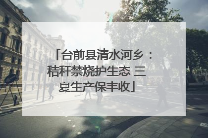 台前县清水河乡：秸秆禁烧护生态 三夏生产保丰收