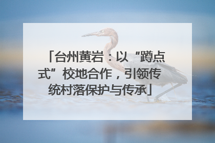 台州黄岩：以“蹲点式”校地合作，引领传统村落保护与传承