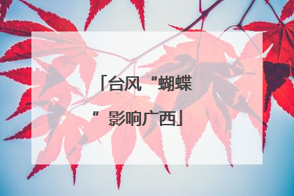台风“蝴蝶”影响广西