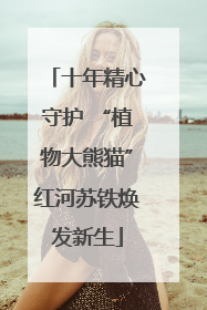 十年精心守护 “植物大熊猫”红河苏铁焕发新生