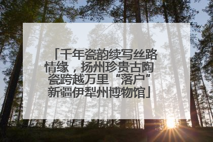 千年瓷韵续写丝路情缘，扬州珍贵古陶瓷跨越万里“落户”新疆伊犁州博物馆