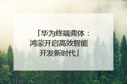 华为终端龚体：鸿蒙开启高效智能开发新时代