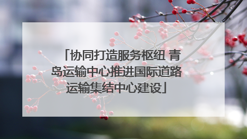 协同打造服务枢纽 青岛运输中心推进国际道路运输集结中心建设