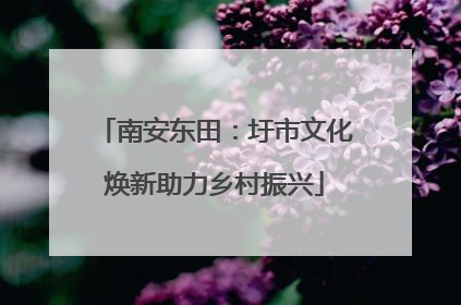南安东田：圩市文化焕新助力乡村振兴