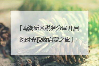 南湖新区税务分局开启跨时光税收启蒙之旅