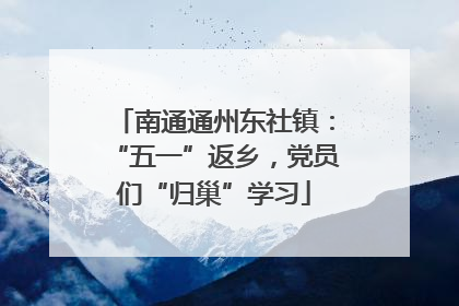 南通通州东社镇：“五一”返乡，党员们“归巢”学习