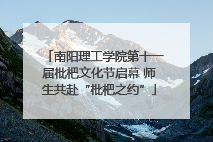 南阳理工学院第十一届枇杷文化节启幕 师生共赴“枇杷之约”