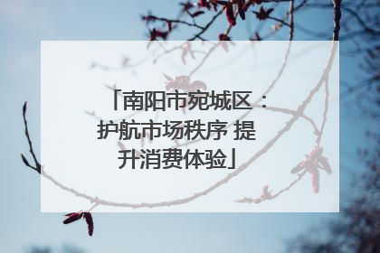 南阳市宛城区：护航市场秩序 提升消费体验