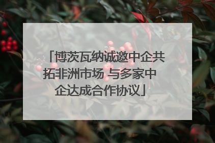 博茨瓦纳诚邀中企共拓非洲市场 与多家中企达成合作协议