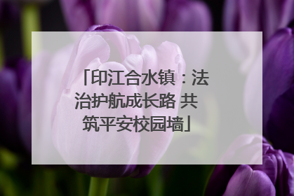 印江合水镇：法治护航成长路 共筑平安校园墙