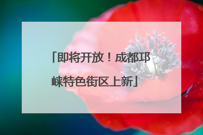 即将开放！成都邛崃特色街区上新