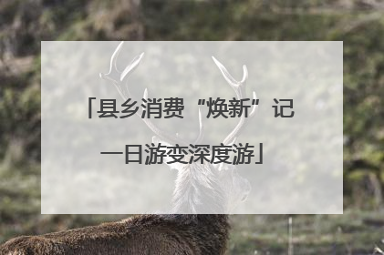 县乡消费“焕新”记 一日游变深度游