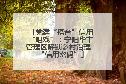 党建“搭台”信用“唱戏”：宁阳华丰管理区解锁乡村治理“信用密码”