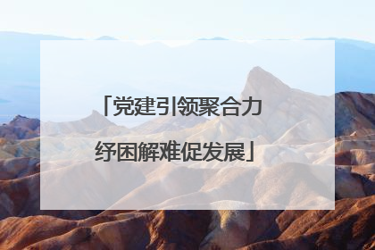 党建引领聚合力 纾困解难促发展