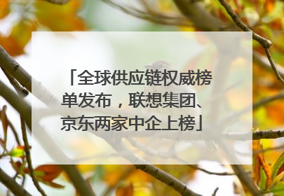 全球供应链权威榜单发布，联想集团、京东两家中企上榜