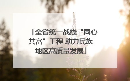 全省统一战线“同心共富”工程 助力民族地区高质量发展
