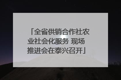 全省供销合作社农业社会化服务 现场推进会在泰兴召开