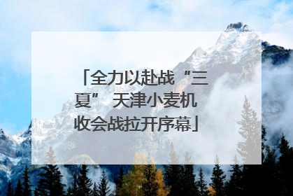 全力以赴战“三夏” 天津小麦机收会战拉开序幕