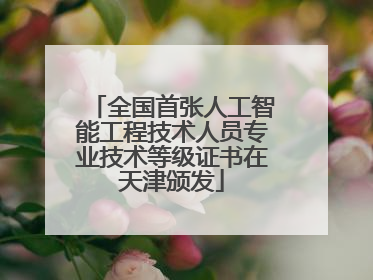 全国首张人工智能工程技术人员专业技术等级证书在天津颁发