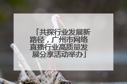 共探行业发展新路径，广州市网络直播行业高质量发展分享活动举办