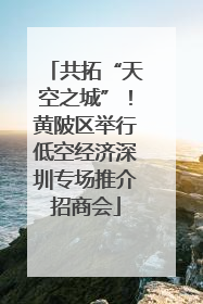 共拓“天空之城”！黄陂区举行低空经济深圳专场推介招商会