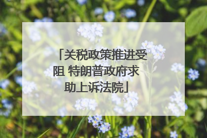 关税政策推进受阻 特朗普政府求助上诉法院