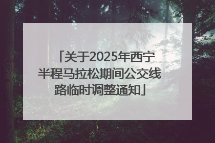 关于2025年西宁半程马拉松期间公交线路临时调整通知