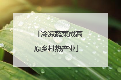 冷凉蔬菜成高原乡村热产业