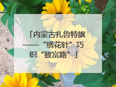 内蒙古扎鲁特旗——“绣花针”巧织“致富路”
