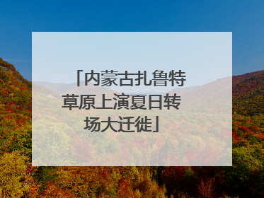内蒙古扎鲁特草原上演夏日转场大迁徙