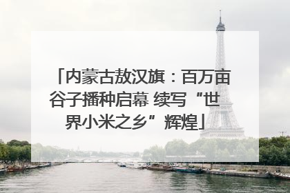 内蒙古敖汉旗：百万亩谷子播种启幕 续写“世界小米之乡”辉煌