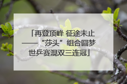 再登顶峰 征途未止——“莎头”组合圆梦世乒赛混双三连冠