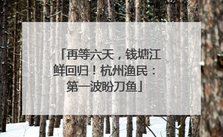 再等六天，钱塘江鲜回归！杭州渔民：第一波盼刀鱼
