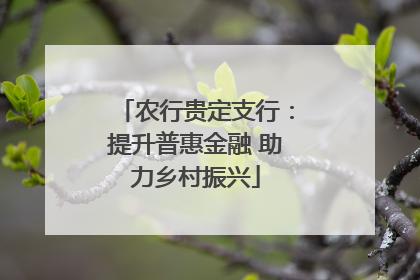 农行贵定支行：提升普惠金融 助力乡村振兴