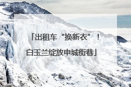 出租车“换新衣”！白玉兰绽放申城街巷