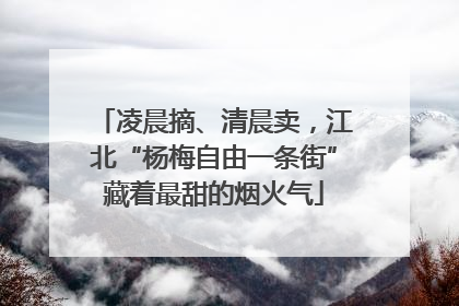 凌晨摘、清晨卖，江北“杨梅自由一条街”藏着最甜的烟火气