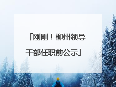 刚刚！柳州领导干部任职前公示