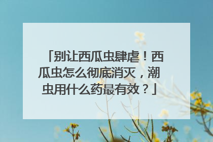 别让西瓜虫肆虐！西瓜虫怎么彻底消灭，潮虫用什么药最有效？