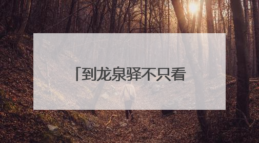 到龙泉驿不只看演唱会还能看戏剧演出啦 东安湖大剧院启幕