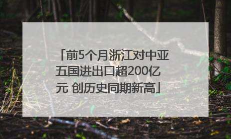 前5个月浙江对中亚五国进出口超200亿元 创历史同期新高