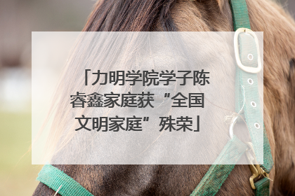 力明学院学子陈睿鑫家庭获“全国文明家庭”殊荣