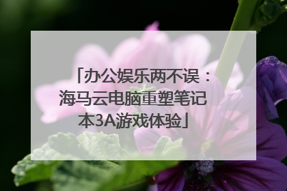 办公娱乐两不误：海马云电脑重塑笔记本3A游戏体验