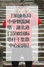 加速布局中亚物流网络：湖北港口汉欧国际塔什干集散中心启用