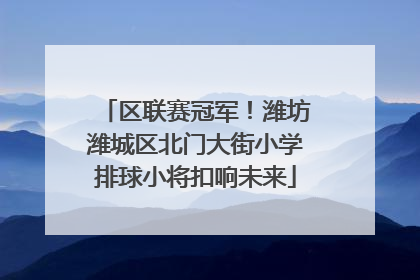 区联赛冠军！潍坊潍城区北门大街小学排球小将扣响未来