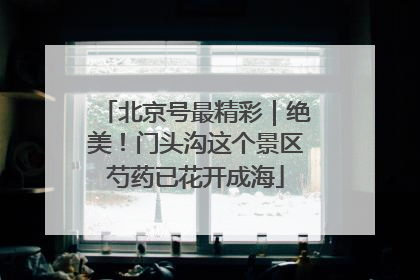 北京号最精彩｜绝美！门头沟这个景区芍药已花开成海