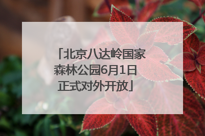 北京八达岭国家森林公园6月1日正式对外开放