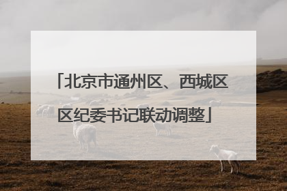 北京市通州区、西城区区纪委书记联动调整