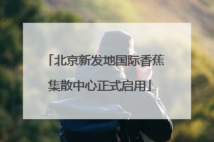 北京新发地国际香蕉集散中心正式启用